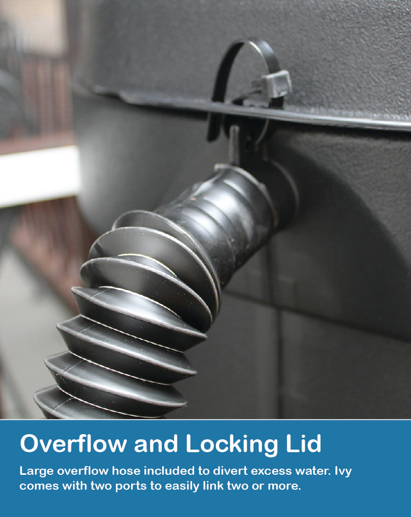 Forsyth County Creek Week